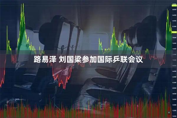 路易泽 刘国梁参加国际乒联会议