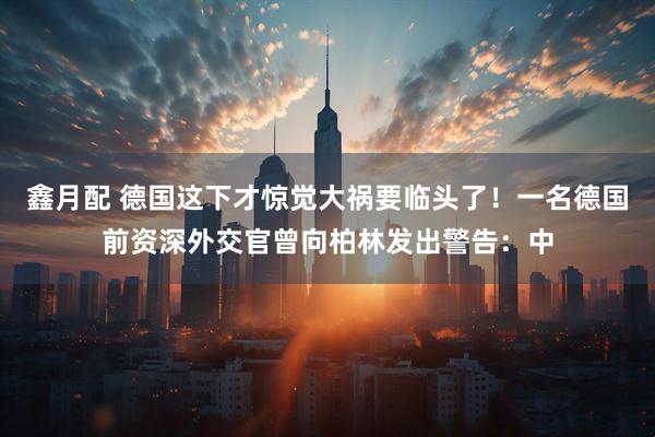 鑫月配 德国这下才惊觉大祸要临头了！一名德国前资深外交官曾向柏林发出警告：中