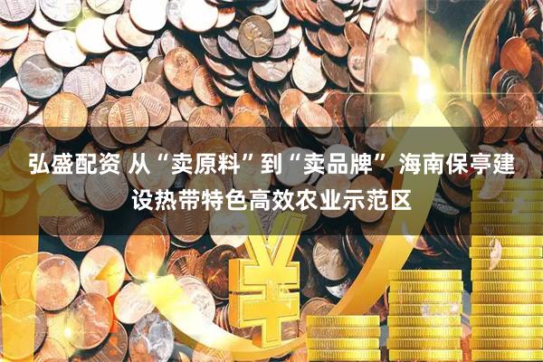 弘盛配资 从“卖原料”到“卖品牌” 海南保亭建设热带特色高效农业示范区