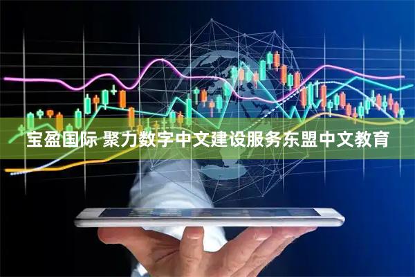 宝盈国际 聚力数字中文建设服务东盟中文教育